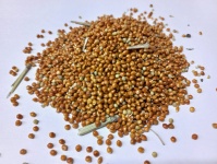 Просо красное 40кг