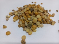 Горох кормовой половинки 40кг