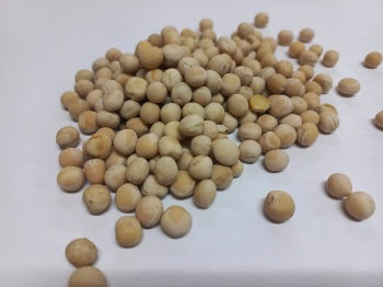 Горох круглый 40кг